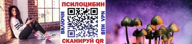 Галлюциногенные грибы Psilocybe  Заволжск 